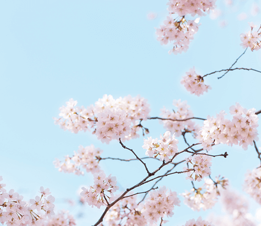 歓迎会・送別会のイメージ